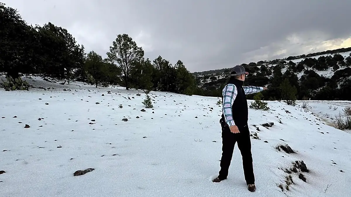 Nevada en Milpillas de la Sierra, Valparaíso, Zacatecas